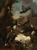 A Peacock, Pigeon, Ducks And Other Birds In a Garden Setting van Melchior d'Hondecoeter: dieren met eenden, vogels, water en tuin, in warm bruin en groen