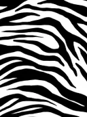 Zwart-wit zebra strepen patroon schilderij