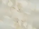 Abstracte close-up van doorschijnende, crèmekleurige golvende vormen.