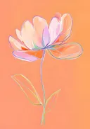 Gestileerde magnoliabloem met kleurrijke contourlijnen op oranje achtergrond
