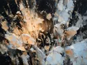 Abstracte verfvlakken in perzik, botanisch schilderij