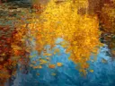 Abstract schilderij van goudkleurige waterspiegeling