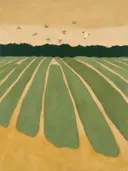Landschappen
