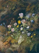 Alpine Flora van Theodor Petter: stilleven met bloemen