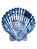 Aquarelillustratie van een blauwe schelp