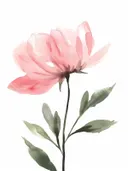 Aquarel illustratie van een roze pioenroos met groene bladeren