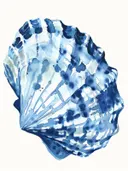Aquarelillustratie van een schelp met een vlekkerig blauw patroon