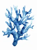 Aquarelillustratie van vertakt blauw koraal