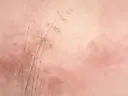 Bamboebos in de mist in roze en goud, mistig oosters landschap