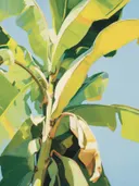 Close-up van groene en gele bananenbladeren tegen een blauwe lucht.