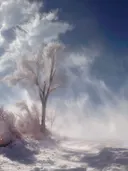 Schilderij van een berijpte boom onder een winderige winterlucht