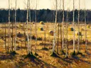 Landschapsschilderij, berken tegen donker hout in late herfst