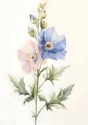 Aquarel van blauwe en roze papavers
