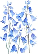 Schilderij van blauwe hyacinten