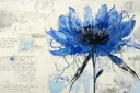 Blauwe korenbloem met handschrift, botanisch schilderij