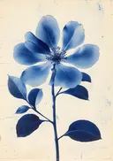 Blauwe cyanotype illustratie van een magnoliabloem