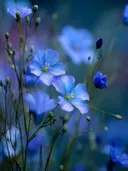Schilderij van blauwe vlasbloemen in macro-opname