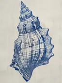 Illustratie van een blauwe wulkschelp op linnen achtergrond
