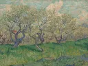 Bloeiende boomgaard van Vincent van Gogh: landschap met bloesem, boomgaard, lente en gras, in zacht groen en roze