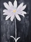 Enkele witte bloem met paarse tint en geel hart tegen een zwarte achtergrond