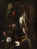 Bloemen en vogels, Toegeschreven aan Paolo Porpora: stilleven met bloemen en vogels