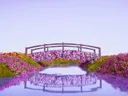 Houten brug bedekt met paarse en witte bloemen, met een spiegeling in het water eronder.