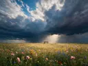Landschapsfoto van bloemenvelden bij de dreigende onweerslucht, met een bankje aan de rand