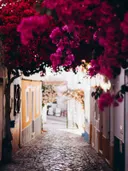 Smal straatje met gekleurde huizen en overhangende roze bloesems.