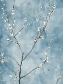 Besneeuwde bloesemtakken tegen blauwe achtergrond