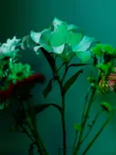 Bloemboeket in groen sfeerlicht