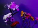 Bloemboeket met lelies en gerbera's in paars licht