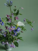 Boeket met paarse clematis, blauwe iris en een witte calla in een vaas