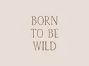 Schilderij met de tekst Born To Be Wild in okerkleurige letters