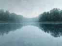 Schilderij van bosoevers weerspiegeld in mistig water