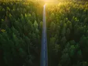 Luchtfoto van een rechte weg door een groen dennenbos met de zon aan de horizon