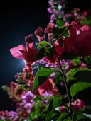 Foto van roze bloemen bij nacht met de maan op de achtergrond.