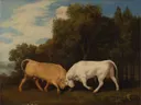 Bulls Fighting van George Stubbs: dieren met stieren, gevecht, bomen en weide, in warm bruin met groen
