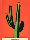 Illustratie van een cactus in een pot