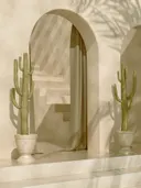 Twee potten met cactussen voor een boogvormige doorgang met trap.