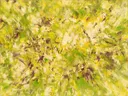 Action painting schilderij, cirkel (sweep) in citroen en lindegroen