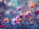 Schilderij van cosmosbloemen tegen een blauwe dromerige achtergrond
