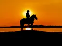 Silhouet van cowboy te paard bij zonsondergang