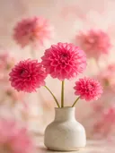 Fotografie van dahlia in volle zon, felroze