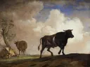 De stier van Paulus Potter: dieren met stier, koeien, weide en wolken, in blauwgrijs met bruin
