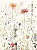 Fijne aquarel van wilde bloemen en grassen