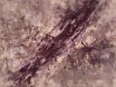 Diagonaal Zwaai in diep pruim, action painting schilderij, diagonaal (sweep)