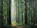 Diepgroen bospad, landschap schilderij