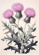 Botanisch schilderij van distels