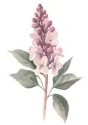 Aquarel van een donkerpaarse hyacint