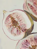 Macro schilderij van een doorgesneden vijg